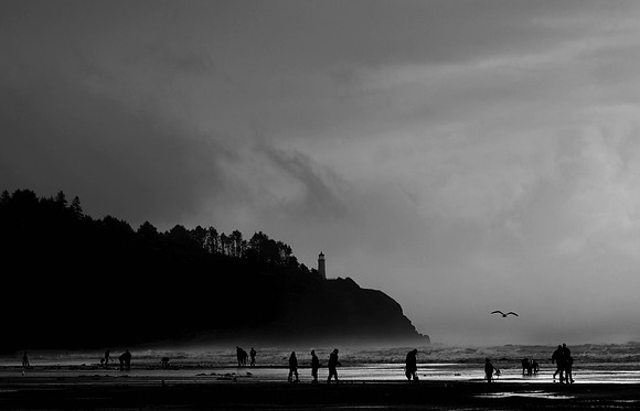 Clam Tide, Long Beach, Washington