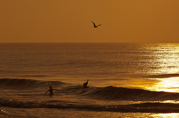 Atlantic Ocean, Ocean City, MD
