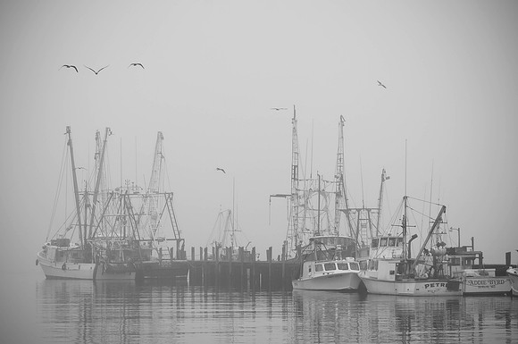 Fishing Harbor, Ocean City, MD